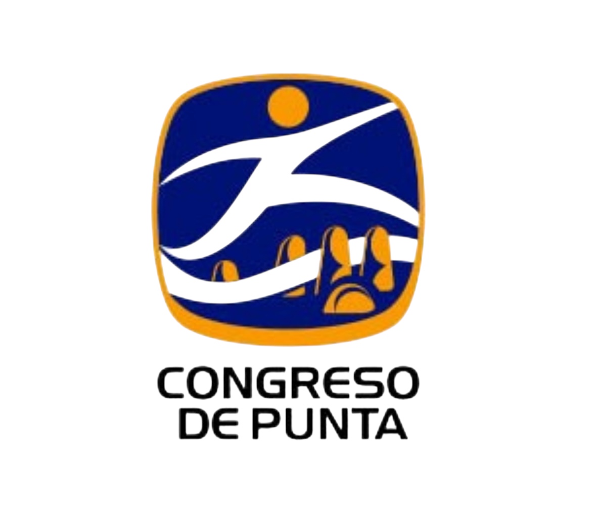 CONGRESO DE PUNTA